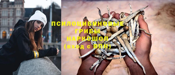 не бодяженный Абаза