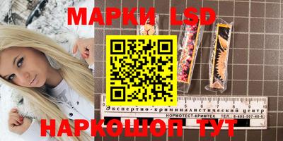 ПСИЛОЦИБИНОВЫЕ ГРИБЫ Кулебаки