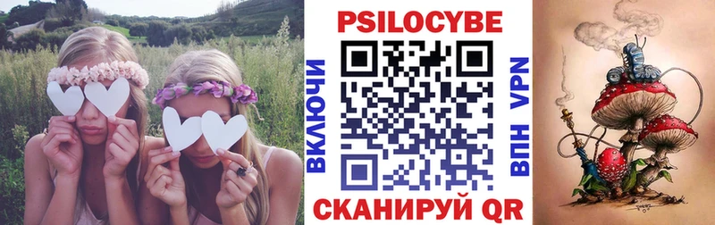 купить наркотик  нарко площадка официальный сайт  Псилоцибиновые грибы прущие грибы  Златоуст 