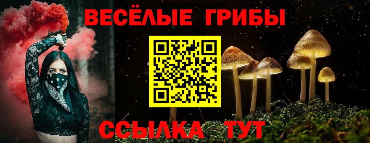 Галлюциногенные грибы Cubensis Златоуст